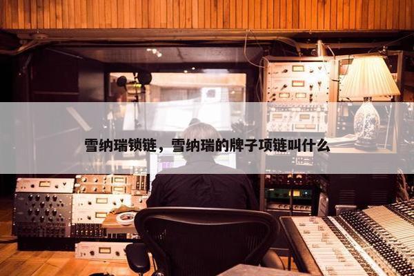 雪纳瑞锁链，雪纳瑞的牌子项链叫什么