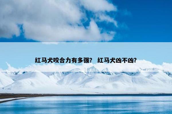 红马犬咬合力有多强？ 红马犬凶不凶？