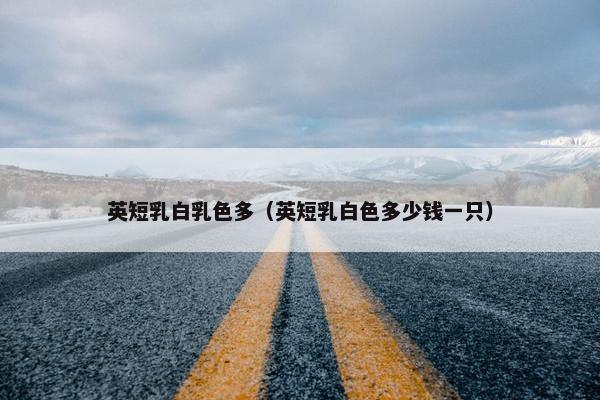 英短乳白乳色多（英短乳白色多少钱一只）