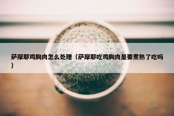 萨摩耶鸡胸肉怎么处理（萨摩耶吃鸡胸肉是要煮熟了吃吗）