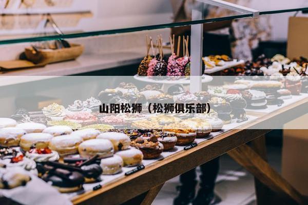 山阳松狮（松狮俱乐部）