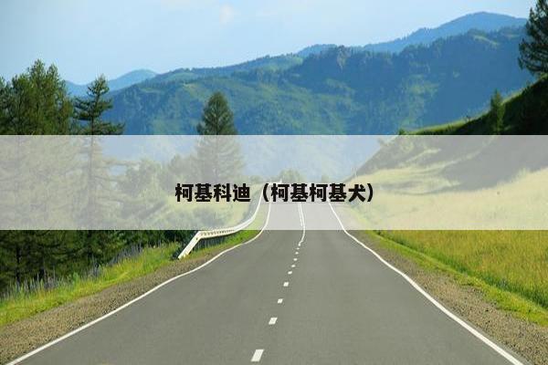 柯基科迪（柯基柯基犬）