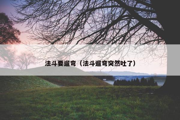 法斗要遛弯（法斗遛弯突然吐了）