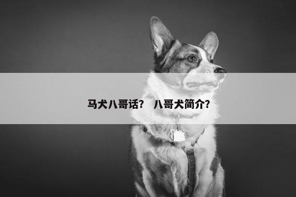 马犬八哥话？ 八哥犬简介？