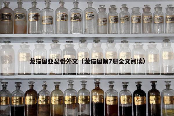 龙猫国亚瑟番外文（龙猫国第7册全文阅读）