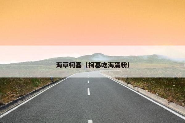 海草柯基（柯基吃海藻粉）