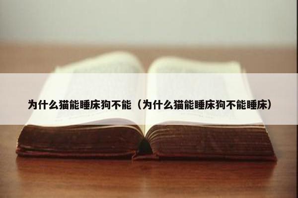 为什么猫能睡床狗不能（为什么猫能睡床狗不能睡床）
