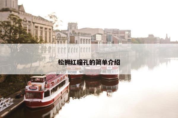 松狮红瞳孔的简单介绍