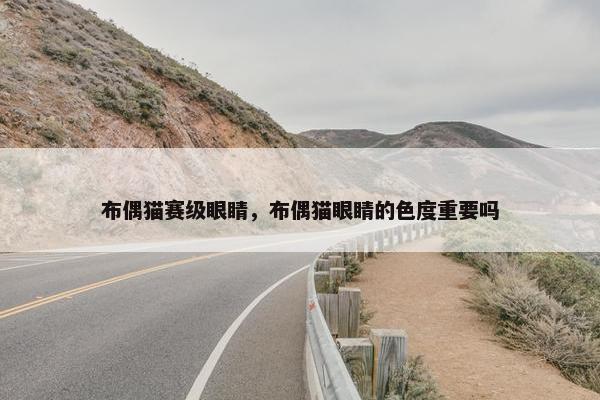 布偶猫赛级眼睛，布偶猫眼睛的色度重要吗