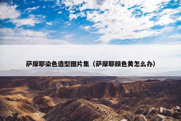 萨摩耶染色造型图片集（萨摩耶颜色黄怎么办）
