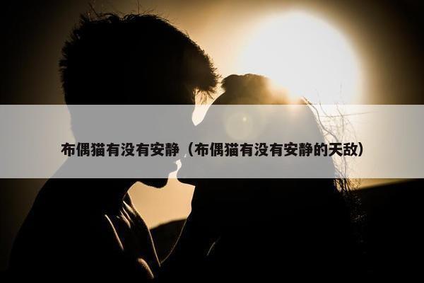 布偶猫有没有安静（布偶猫有没有安静的天敌）
