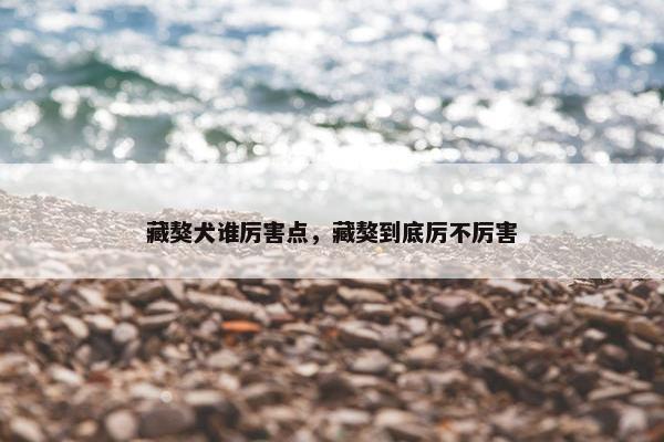 藏獒犬谁厉害点，藏獒到底厉不厉害
