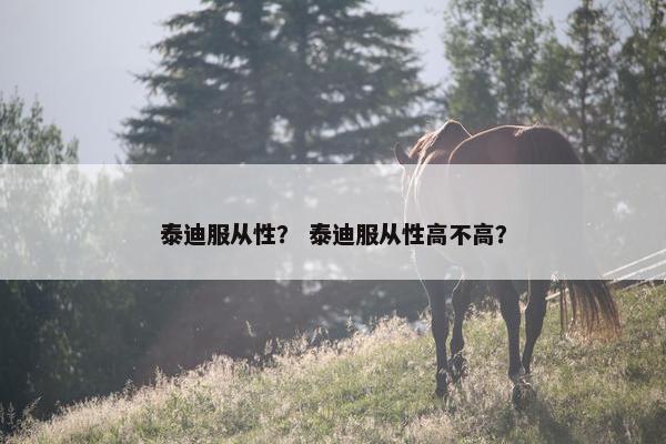 泰迪服从性？ 泰迪服从性高不高？