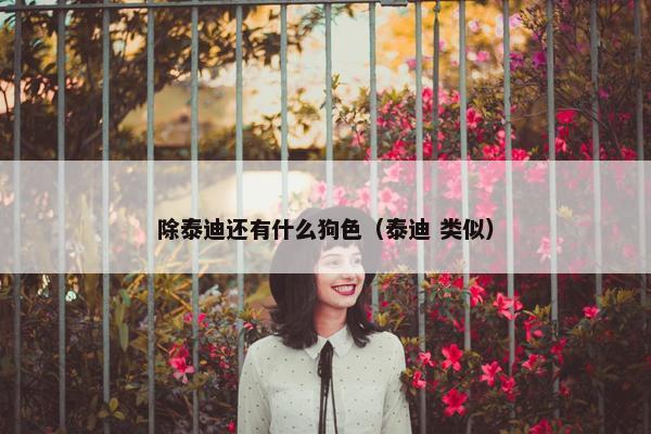 除泰迪还有什么狗色（泰迪 类似）