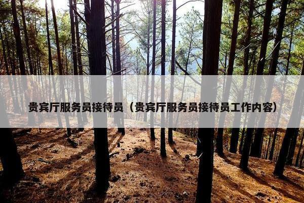 贵宾厅服务员接待员（贵宾厅服务员接待员工作内容）