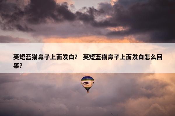 英短蓝猫鼻子上面发白？ 英短蓝猫鼻子上面发白怎么回事？