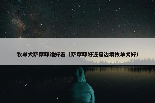 牧羊犬萨摩耶谁好看（萨摩耶好还是边境牧羊犬好）