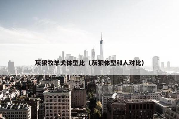 灰狼牧羊犬体型比（灰狼体型和人对比）