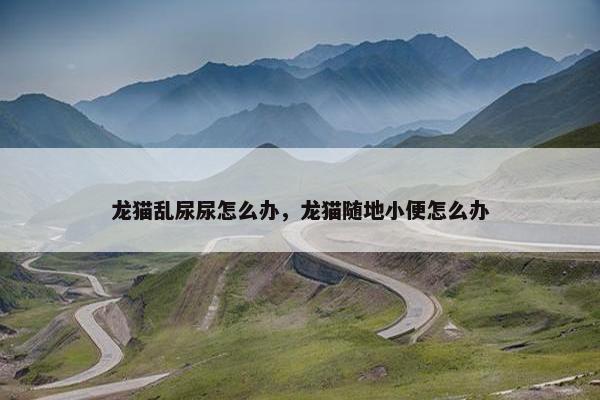 龙猫乱尿尿怎么办，龙猫随地小便怎么办