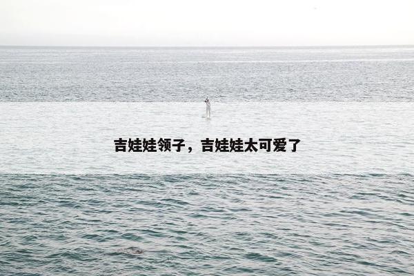 吉娃娃领子，吉娃娃太可爱了