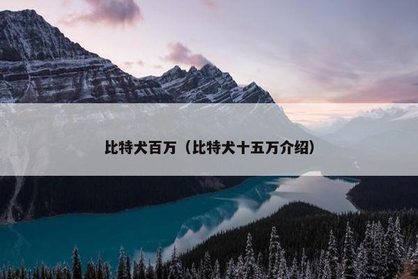 比特犬百万（比特犬十五万介绍）