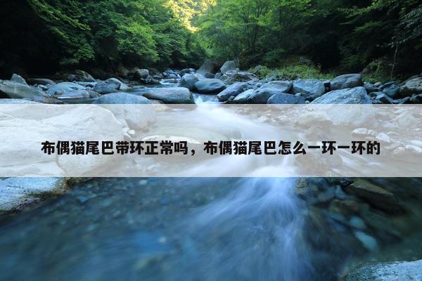 布偶猫尾巴带环正常吗，布偶猫尾巴怎么一环一环的