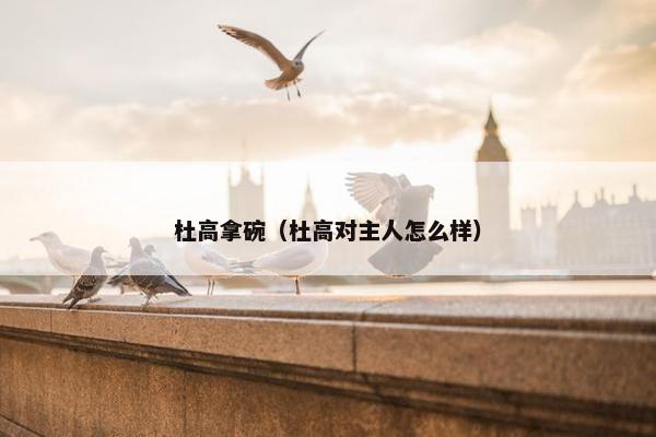 杜高拿碗（杜高对主人怎么样）