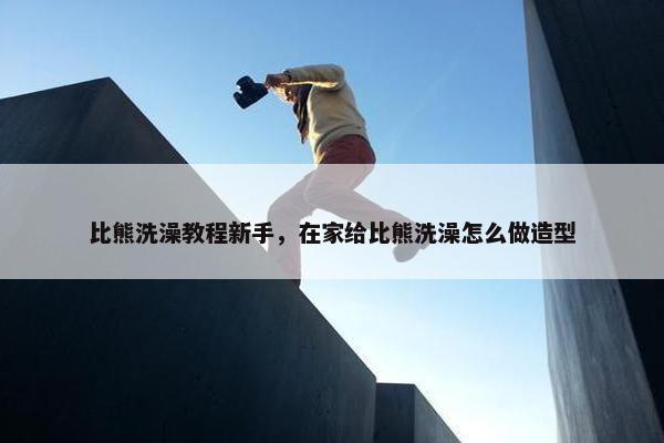 比熊洗澡教程新手，在家给比熊洗澡怎么做造型