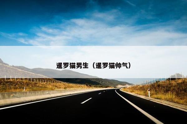 暹罗猫男生（暹罗猫帅气）