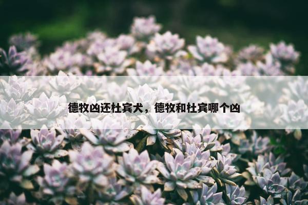 德牧凶还杜宾犬，德牧和杜宾哪个凶