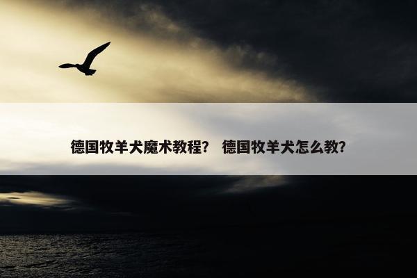 德国牧羊犬魔术教程？ 德国牧羊犬怎么教？