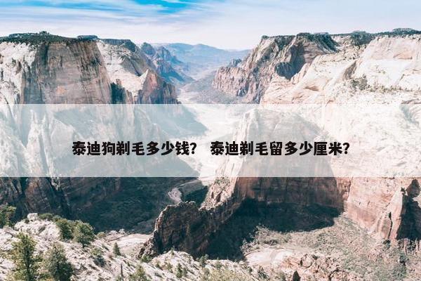 泰迪狗剃毛多少钱？ 泰迪剃毛留多少厘米？