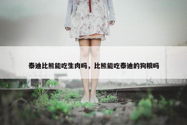 泰迪比熊能吃生肉吗，比熊能吃泰迪的狗粮吗
