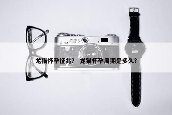 龙猫怀孕征兆？ 龙猫怀孕周期是多久？