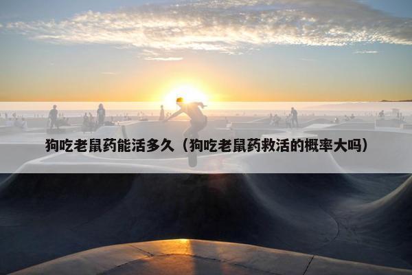 狗吃老鼠药能活多久（狗吃老鼠药救活的概率大吗）
