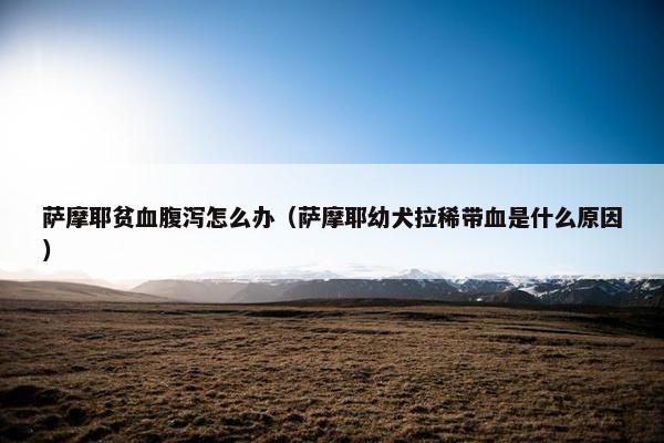 萨摩耶贫血腹泻怎么办（萨摩耶幼犬拉稀带血是什么原因）