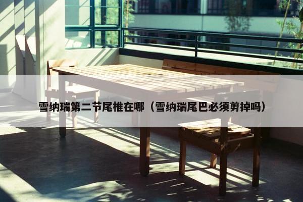 雪纳瑞第二节尾椎在哪（雪纳瑞尾巴必须剪掉吗）