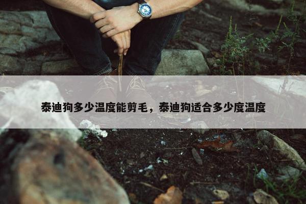 泰迪狗多少温度能剪毛，泰迪狗适合多少度温度