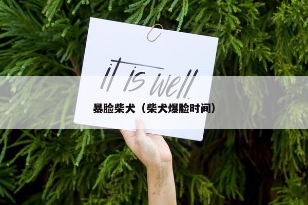 暴脸柴犬（柴犬爆脸时间）