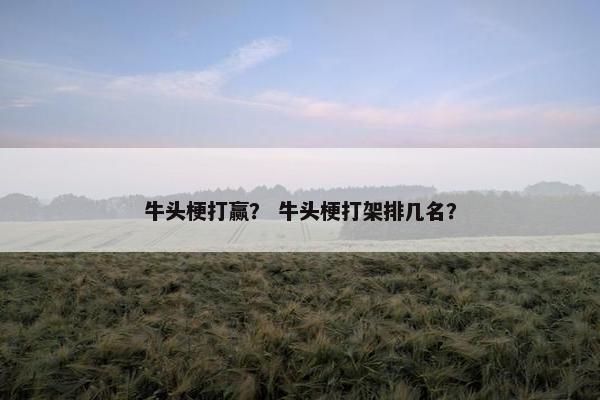 牛头梗打赢？ 牛头梗打架排几名？