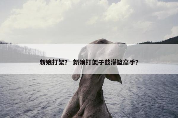 新娘打架？ 新娘打架子鼓灌篮高手？