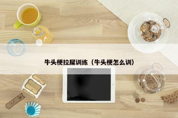 牛头梗拉屎训练（牛头梗怎么训）