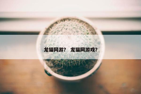 龙猫网游？ 龙猫网游戏？