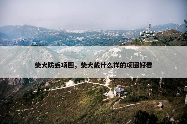柴犬防丢项圈，柴犬戴什么样的项圈好看