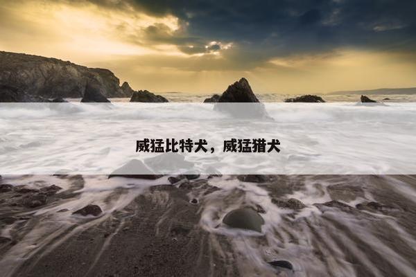 威猛比特犬，威猛猎犬