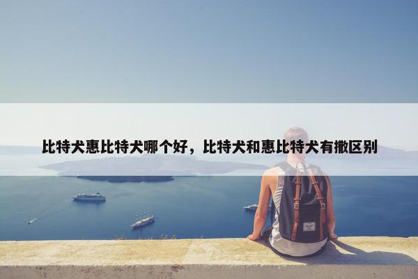 比特犬惠比特犬哪个好，比特犬和惠比特犬有撒区别