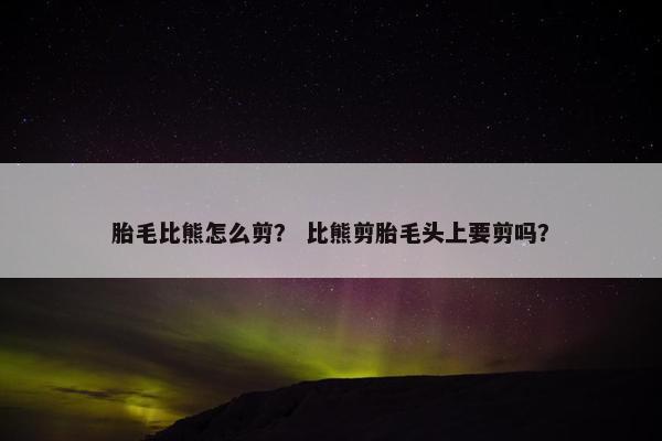 胎毛比熊怎么剪？ 比熊剪胎毛头上要剪吗？