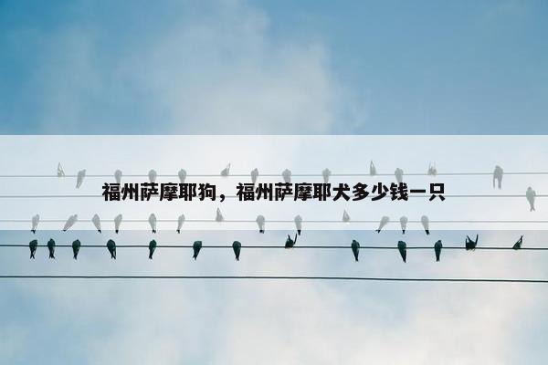 福州萨摩耶狗，福州萨摩耶犬多少钱一只