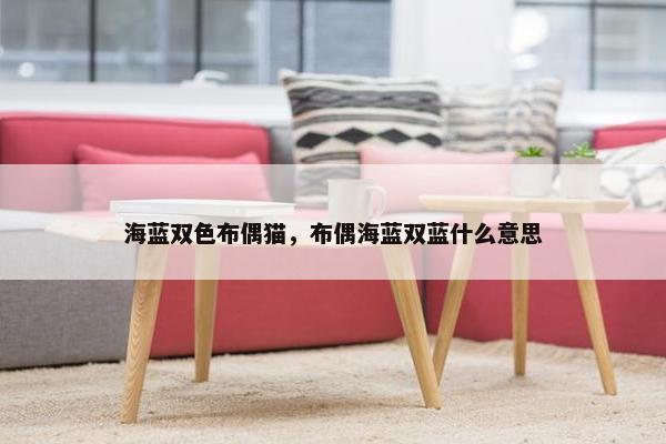 海蓝双色布偶猫，布偶海蓝双蓝什么意思