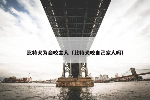 比特犬为会咬主人（比特犬咬自己家人吗）